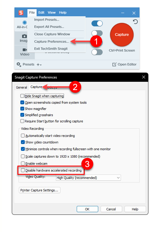 Desativar aceleração HW Snagit 2023.png