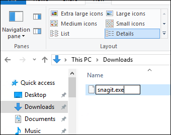 snagit.png