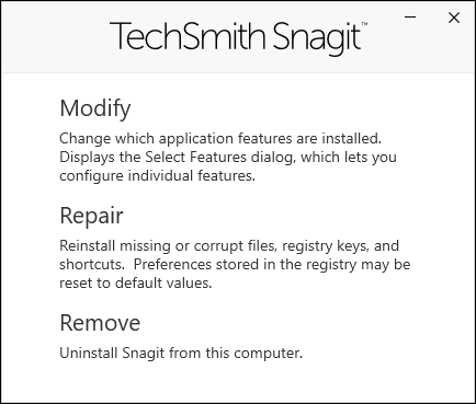 snagit windows