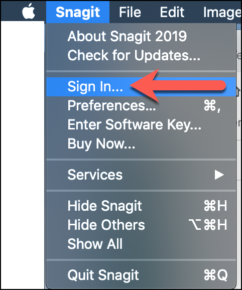 snagit corporate license