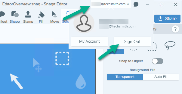 snagit 2019 issues