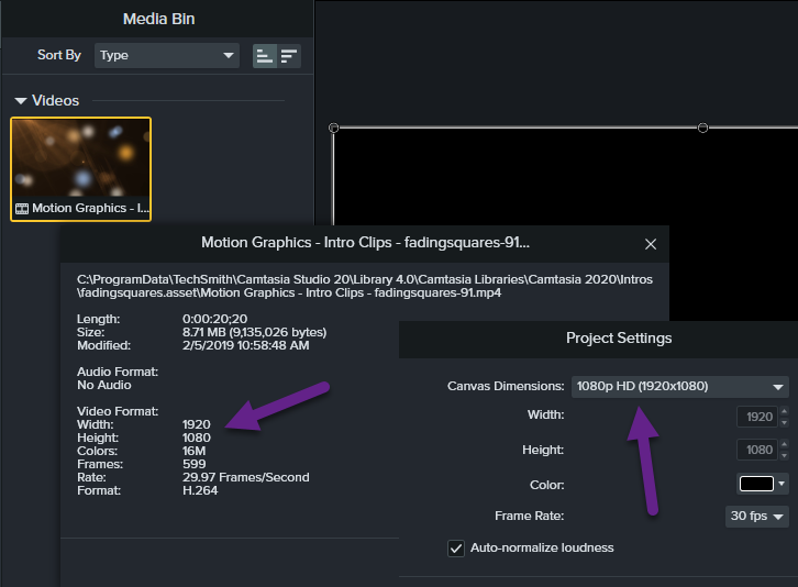 camtasia 2018 split audio track