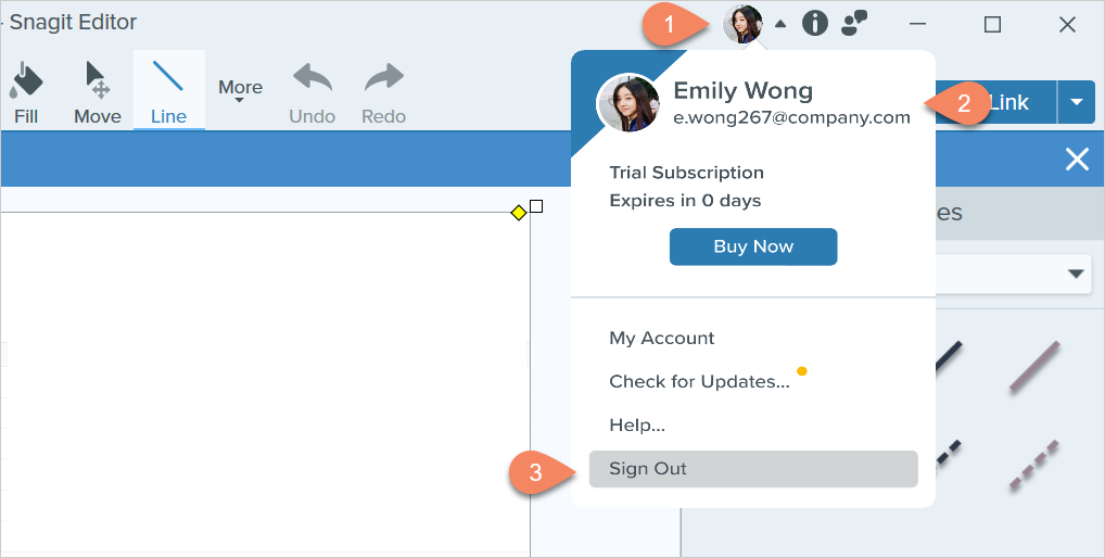 Sign Out Snagit Editor_with steps.png