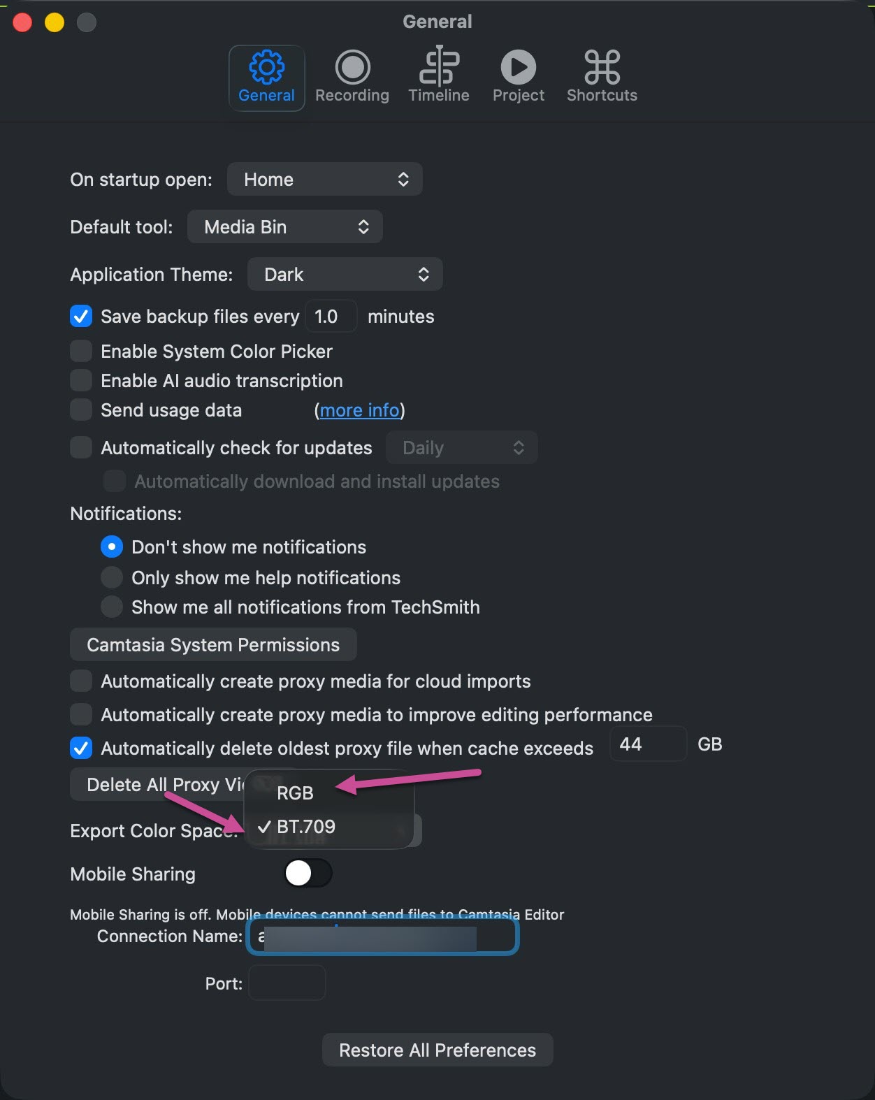 Camtasia General settings page
