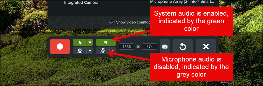 Snagit recording toolbar that has two textboxes each with arrows pointing to a different icon on the toolbar
