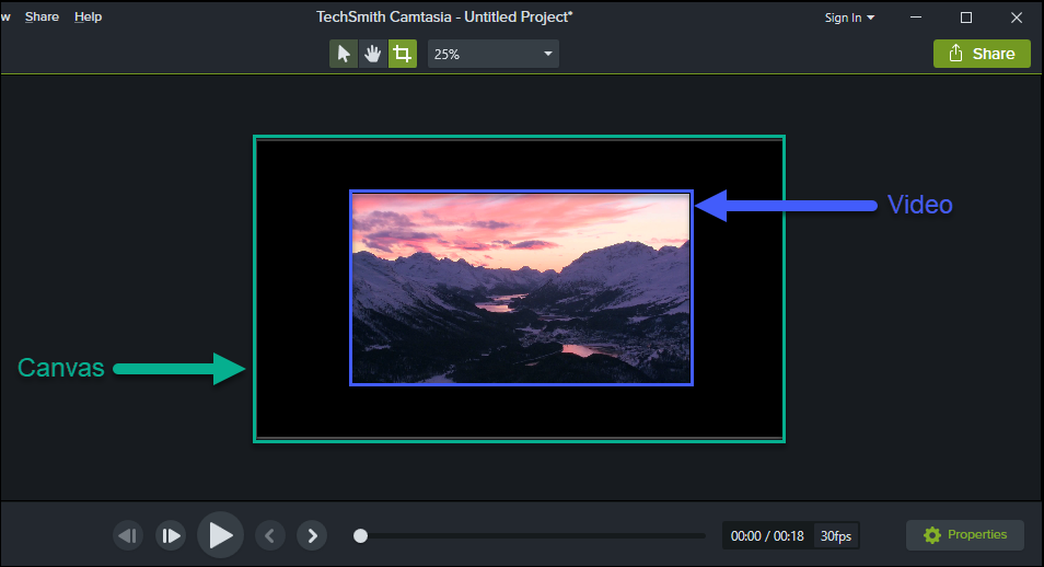 Camtasia Canvas.png