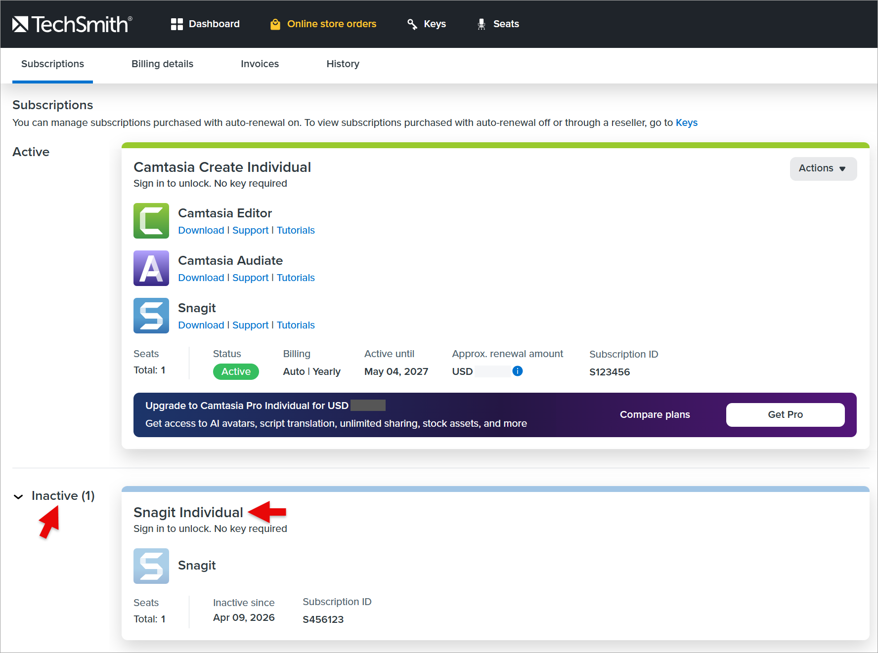snagit individual_06.png