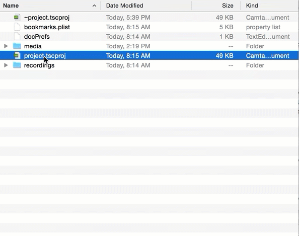 Cambia el nombre de project.tscproj a project.tscproj.BAK.
