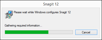snagit upgrade from 10 to 13